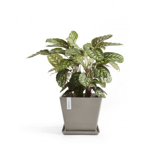 Rotterdam square pot 50 Taupe Rotterdam pot Rotterdam square pot 50 Taupe Rotterdam pot