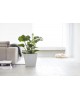 Rotterdam square pot 50 White Grey Rotterdam pot Rotterdam square pot 50 White Grey Rotterdam pot