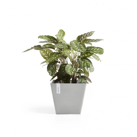 Rotterdam square pot 50 White Grey Rotterdam pot Rotterdam square pot 50 White Grey Rotterdam pot