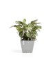 Rotterdam square pot 50 White Grey Rotterdam pot Rotterdam square pot 50 White Grey Rotterdam pot