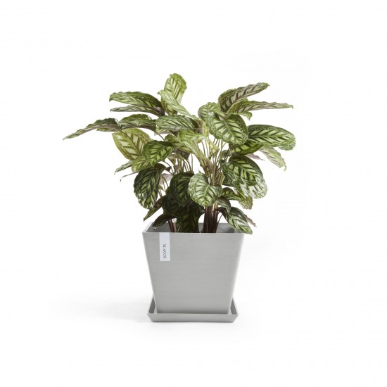 Rotterdam square pot 50 White Grey Rotterdam pot Rotterdam square pot 50 White Grey Rotterdam pot