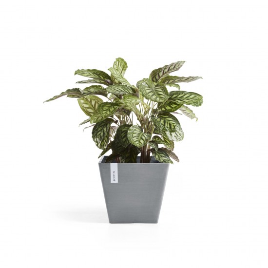 Rotterdam square pot 50 Blue Grey Rotterdam pot Rotterdam square pot 50 Blue Grey Rotterdam pot