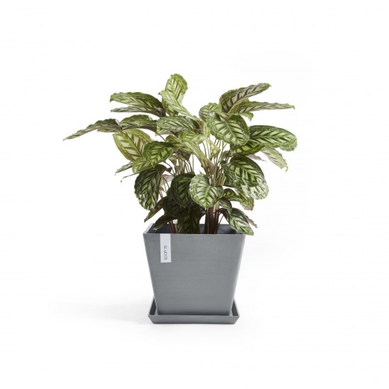 Rotterdam square pot 50 Blue Grey Rotterdam pot Rotterdam square pot 50 Blue Grey Rotterdam pot
