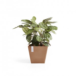Rotterdam square pot 50 Terracotta