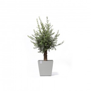 Rotterdam Wheels square pot 50 White Grey