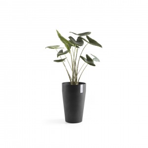 Sankara Mid High pot 55 Dark Grey