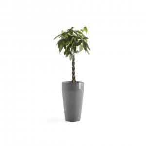 Sankara High pot 75 Grey