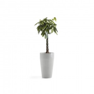 Sankara High pot 75 White Grey