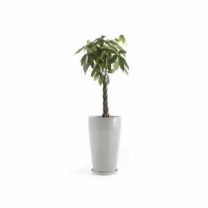 Sankara High pot 75 White Grey