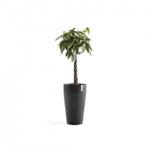 Sankara High pot 75 Dark Grey