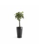 Sankara High pot 75 Dark Grey Sankara pot 