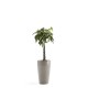 Sankara High pot 75 Taupe Sankara pot Sankara High pot 75 Taupe Sankara pot