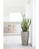 Sankara High pot 75 Taupe Sankara pot Sankara High pot 75 Taupe Sankara pot