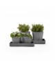 Saucer rectangular 20 Grey Display platter