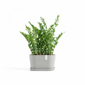 Saucer oval Tokyo 30 White Grey