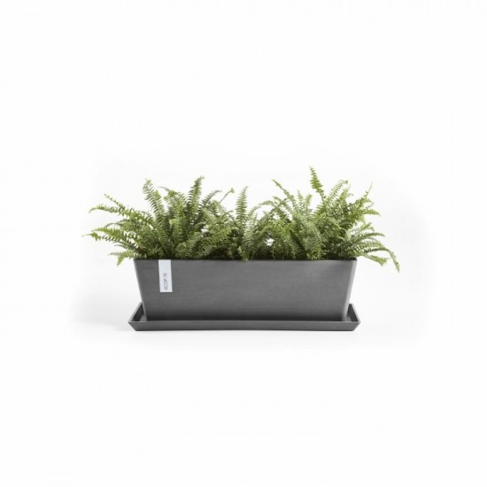 Saucer rectangular 58 Grey Rectangular saucers Saucer rectangular 58 Grey Rectangular saucers