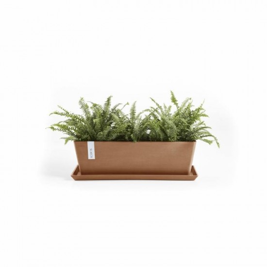 Saucer rectangular 58 Terracotta Rectangular saucers Saucer rectangular 58 Terracotta Rectangular saucers