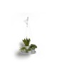 Hanging saucer White Grey Round pots Hanging saucer White Grey Round pots