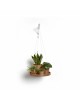 Hanging saucer Terracotta Hanging pots Hanging saucer Terracotta Hanging pots