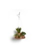 Hanging saucer Terracotta Round pots Hanging saucer Terracotta Round pots