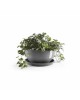 Saucer round 21 Grey Round saucers Saucer round 21 Grey Round saucers