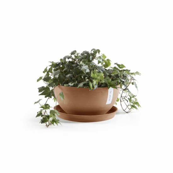 Saucer round 25 Terracotta Round saucers Saucer round 25 Terracotta Round saucers
