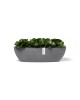 Oval pot Sofia Long 56 Grey Sofia long pot Oval pot Sofia Long 56 Grey Sofia long pot