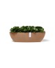 Oval pot Sofia Long 56 Terracotta Sofia long pot Oval pot Sofia Long 56 Terracotta Sofia long pot