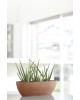 Oval pot Sofia Long 56 Terracotta Sofia long pot Oval pot Sofia Long 56 Terracotta Sofia long pot