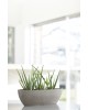 Oval pot Sofia Long 56 Taupe Sofia long pot Oval pot Sofia Long 56 Taupe Sofia long pot
