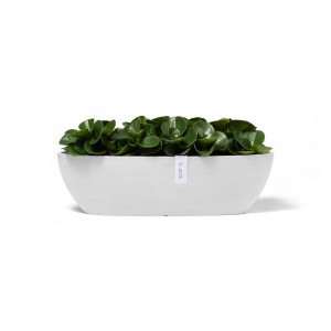 Oval pot Sofia Long 56 Pure White