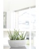Oval pot Sofia Long 56 Pure White Sofia long pot Oval pot Sofia Long 56 Pure White Sofia long pot