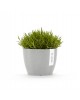 Stockholm 16 round small pot White Grey Stockholm pot Stockholm 16 round small pot White Grey Stockholm pot