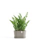 Oval pot Tokyo 30 Taupe Oval pots Oval pot Tokyo 30 Taupe Oval pots