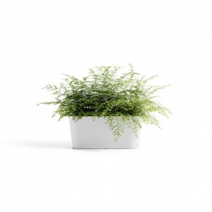 Oval pot Tokyo 40 Pure White