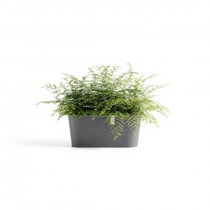 Oval pot Tokyo 40 Grey