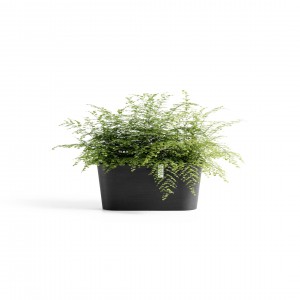 Oval pot Tokyo 40 Dark Grey