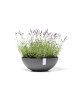 Vienna round pot 50 Grey Round pots Vienna round pot 50 Grey Round pots
