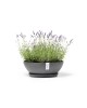 Vienna round pot 50 Grey Round pots Vienna round pot 50 Grey Round pots