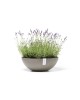 Vienna round pot 50 Taupe Round pots Vienna round pot 50 Taupe Round pots