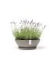 Vienna round pot 50 Taupe Round pots Vienna round pot 50 Taupe Round pots