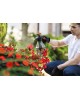 Ψεκαστήρας προπίεσης Black+Decker 2L Ψεκαστήρες Stanley Black+Decker Ψεκαστήρας προπίεσης Black+Decker 2L Ψεκαστήρες Stanley Black+Decker