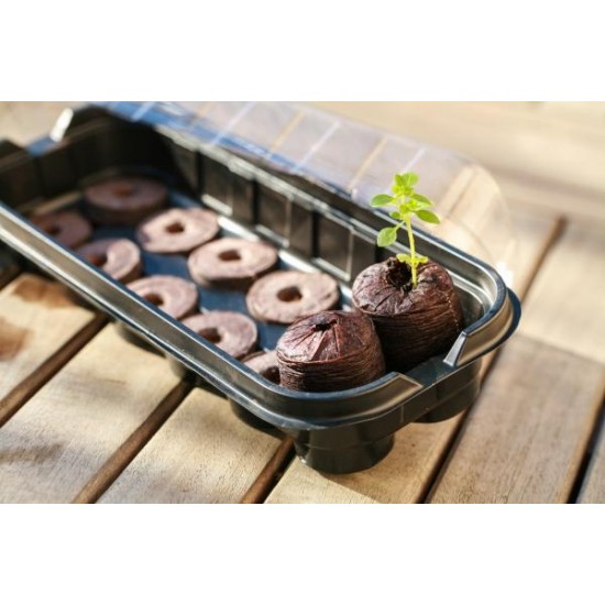 Small greenhouse & pastilles Planting accessories Small greenhouse & pastilles Planting accessories