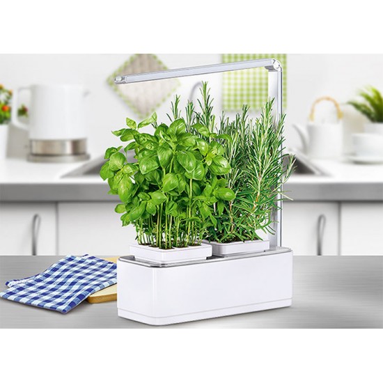 Indoor pot Viviana with light Kitchen gardening