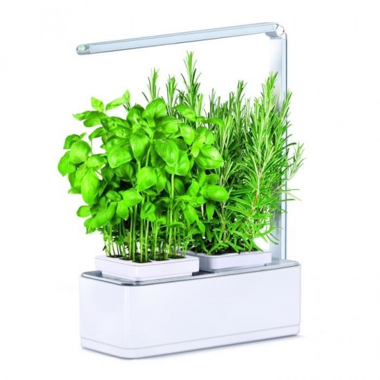 Indoor pot Viviana with light Kitchen gardening