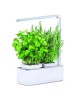 Indoor pot Viviana with light Kitchen gardening