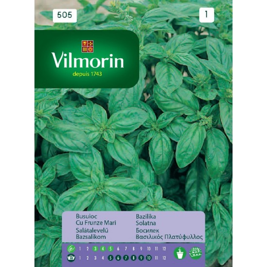 Basil seeds 505 Aromatics seeds 