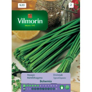 Chive seeds 520