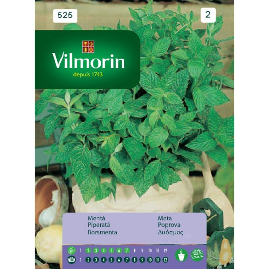 Mint seeds 525 Aromatics seeds 