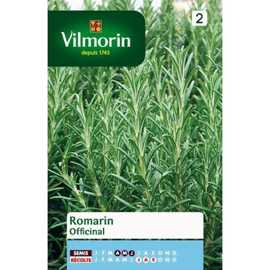 Rosemary seeds 532F Aromatics seeds Rosemary seeds 532F Aromatics seeds